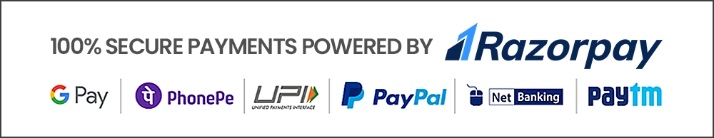 Razorpay Official Logo